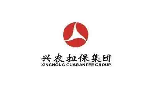 重慶興農(nóng)擔(dān)保集團